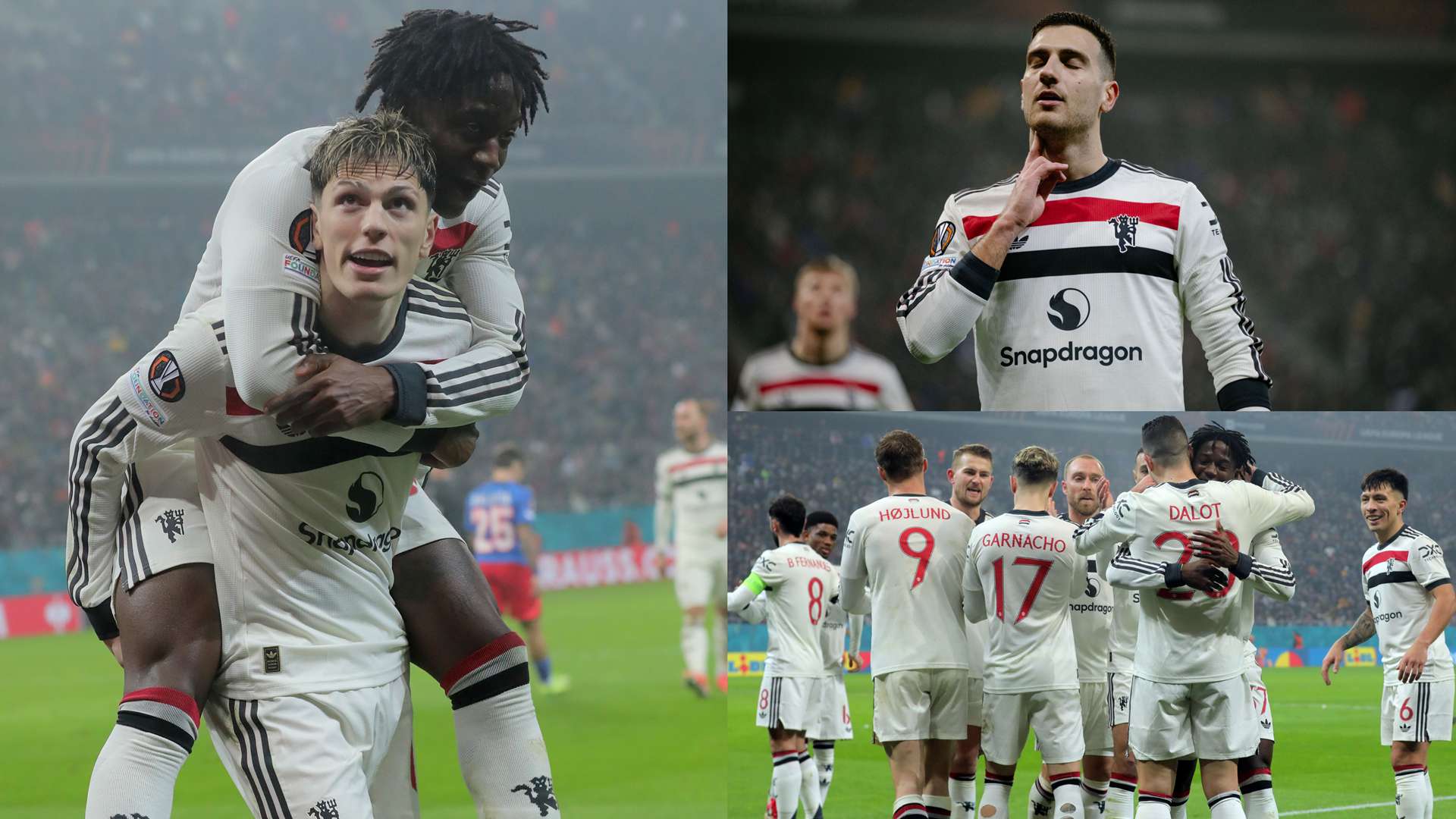 果的雙刃劍 果的雙刃劍