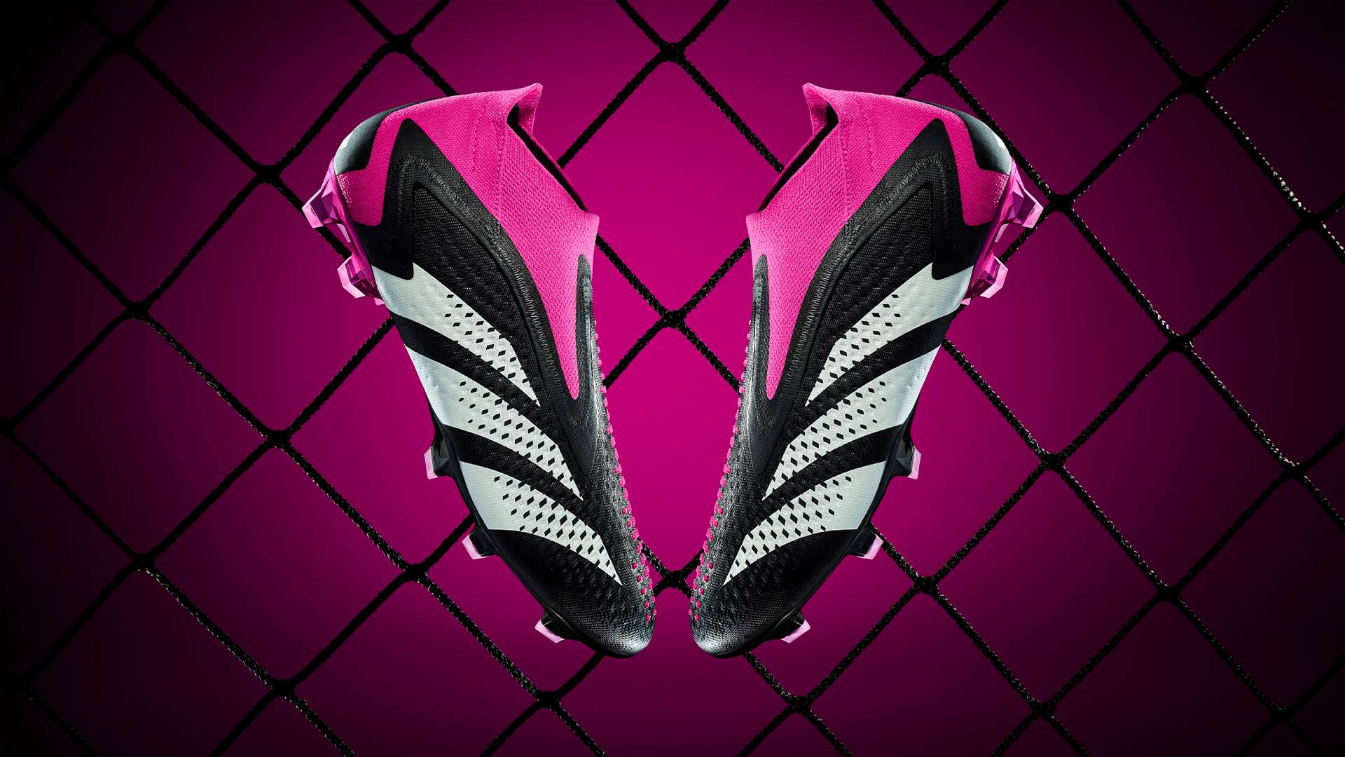 的身体素质 的身体素质