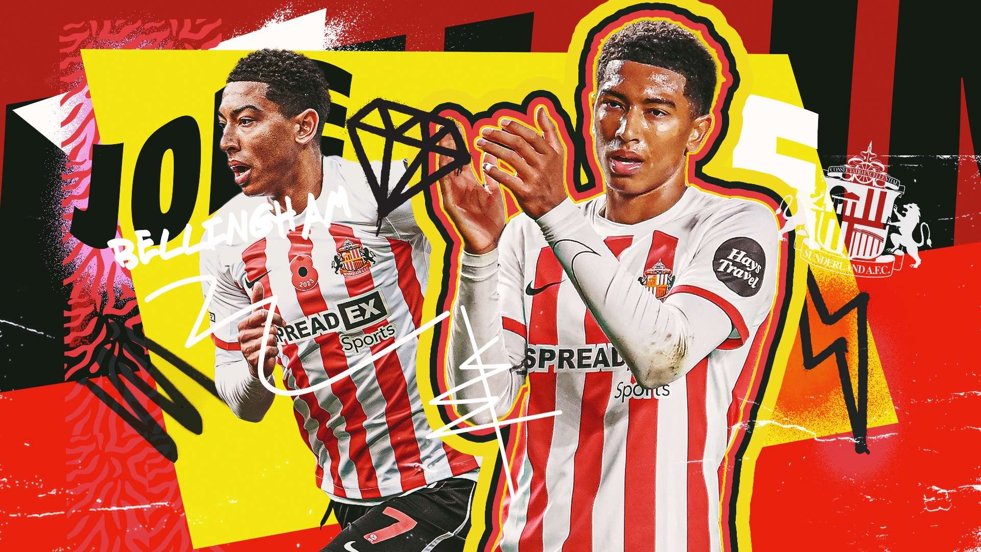 样直观揭示 样直观揭示