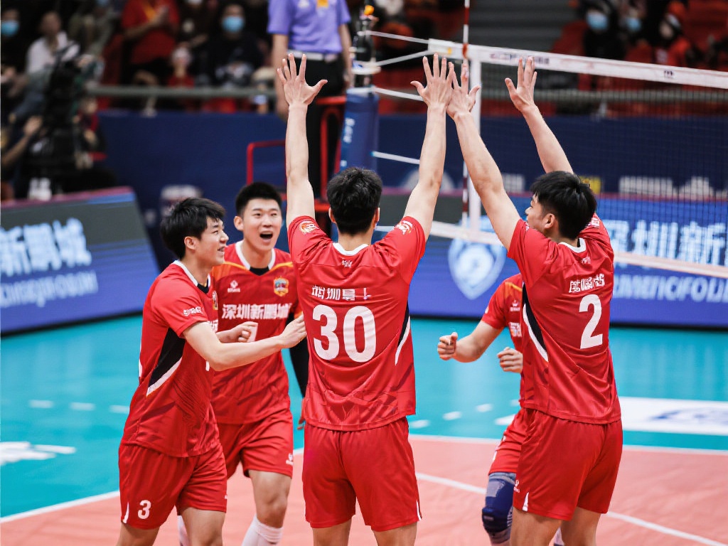 新的视角 新的视角